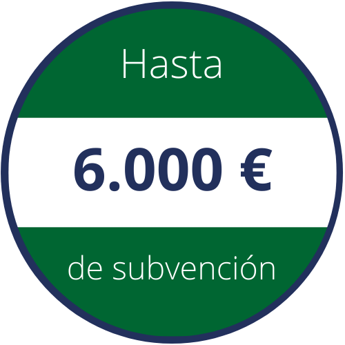 Subvenciones Andalucía